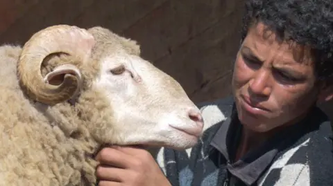 A boy offers his sheep for sale at a market in Morocco. Archive photo.