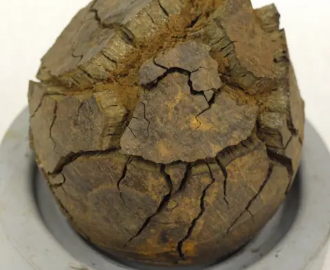 The Mary Rose Trust Cracked cannonball