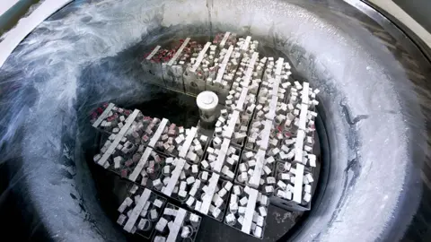 Getty Images Eggs and embryos can be gathered and frozen in deep freezes using liquid nitrogen