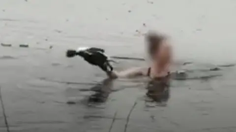 The woman jumped into the water and smashed her way through thick ice to reach the stricken grebe.