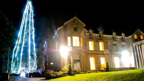 H18-pdw Photography Tree at Broneirion in Llandinam, Powys