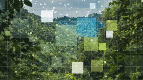 Getty Images Digital illustration of an AI application covering a landscape of trees