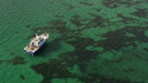 Open Seas/Greenpeace Ship at sea
