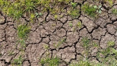 Getty Images Dry cracked earth in the Fens, Cambridgeshire