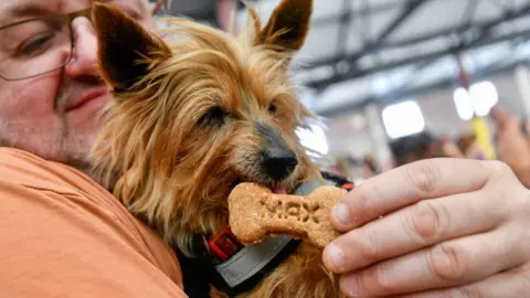 PDSA/Stuart Walker Little terrier licks a biscuit with Max's name inscribed on it