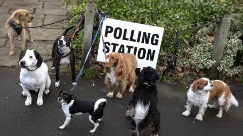 Getty Images Seven dogs wait outside a polling station. A number of their leashes are tied to the string holding up the polling station sign. 