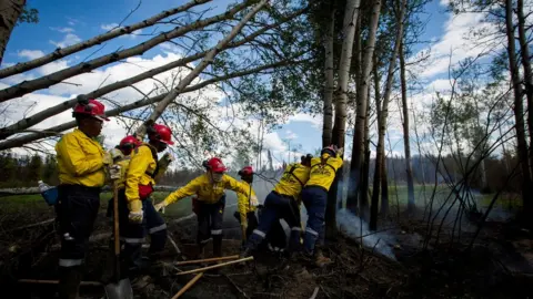Reuters Firefighters and support stuff work to clear burned trees