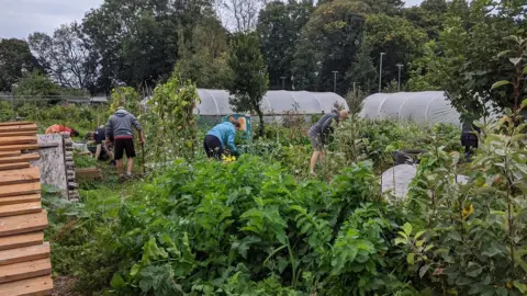 Riverside Community Garden Project An allotment