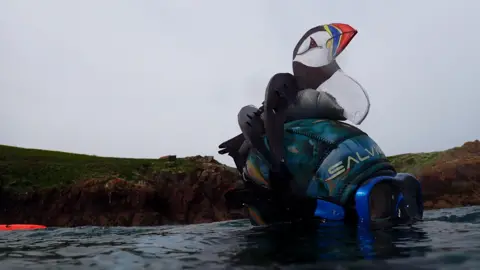 Louise Scammell Picture of puffin hat