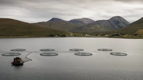 Getty Images Salmon farm