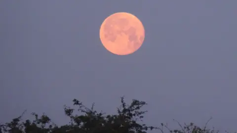 BBC/Weather Watchers Littleport supermoon