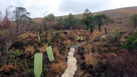 BBC Laying a wool path in Uist