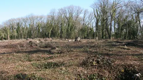 Geograph/ Martin Bodman Image of Worlebury Camp iron-age hill fort