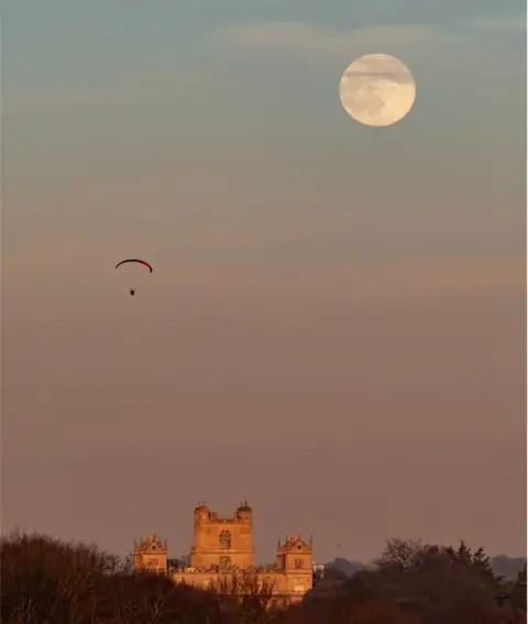 Michael Platten Wolf Moon at Wollaton Hall