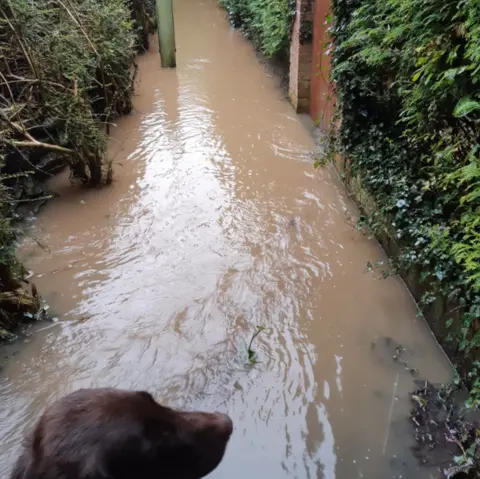 Gerry Riley Flooded lane