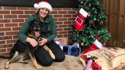 The Dog's Trust Lilly the crossbreed, at The Dog's Trust in Shrewsbury