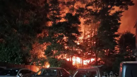 Flames can be seen through the branches of trees. It is dark as it is nighttime and several cars can be seen parked close to the trees and the fire