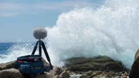 Martyn Stewart Martyn Stewart Recording set-up