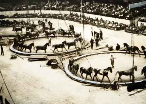 Mahendra Dhotre Collection Damoo Dhotre performing as ring master with horses