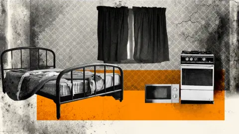 BBC News An illustration of a studio flat Lorna viewed with a bed, mouldy wallpaper and a microwave on the floor