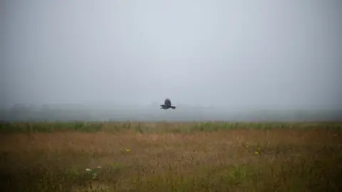 Getty Images Culloden Battlefield
