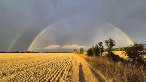 BBC Weather Watcher, hampshirekat Basingstoke, Hampshire golden fields with the shadow of a person on the ground and two rainbows starting to appear in the sky.