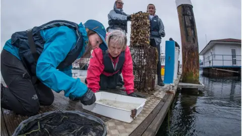 Tees Rivers Trust Volunteers monitoring progress