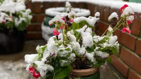 BBC Weather Watchers/Katie RoseM Snow in Ely