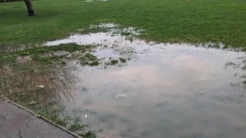 Jonathan Pallant Sewage water on grass, St Ives, February 2024