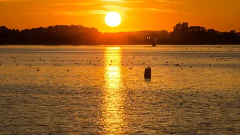 Linz Willetts Evening at Farmoor Reservoir
