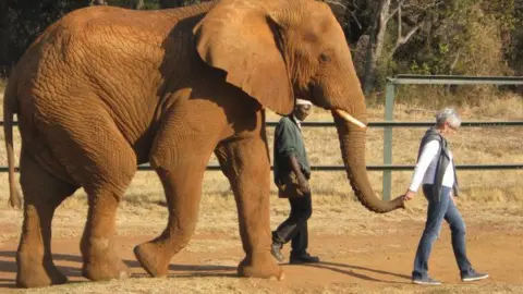 Nicholl Family Helen Nicholl with an elephant