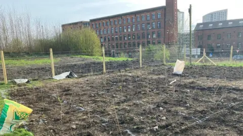 Elizabeth Baines/BBC The mini forest site in Leeds