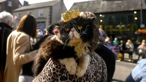 EPA Merlin the cat - wearing a golden crown - is held on the shoulder of her owner outside Hillsborough Castle