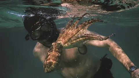 Sea Change Project Diver with octopus