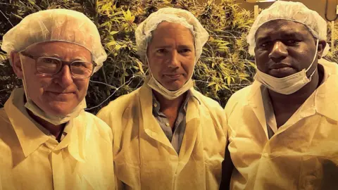 BBC Three MPs in a cannabis farm in white suits
