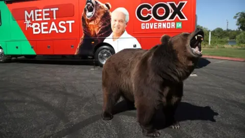 Getty Images One candidate campaigned with a 1,000lb brown bear