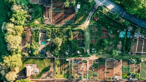 Getty Images Allotments