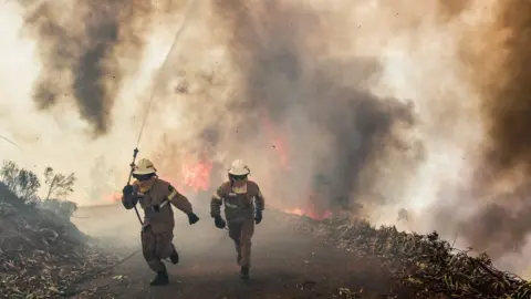 EPA Portuguese Republican National Guard soldiers battle with a forest fire in Capela Sao Neitel, Alvaiazere, central Portugal, 18 June 2017.