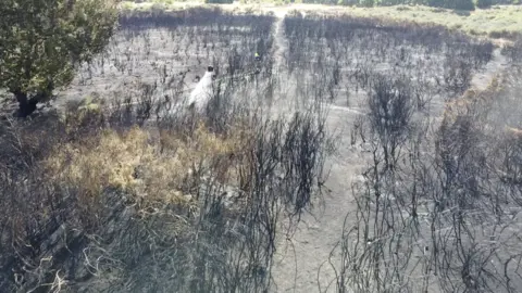 Jamie Niblock/BBC Rushmere Heath fire