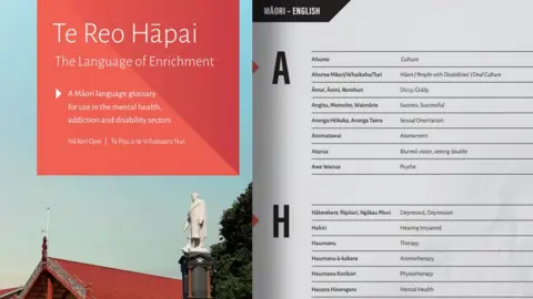 Te Pou o te Whakaro Nui Maori-language glossary of disability terms