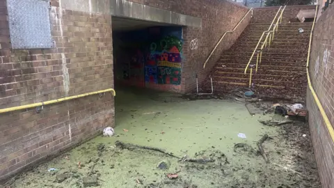 Toby Friedner/BBC A set of brick steps leads down to an underpass which is flooded, full of filthy green water and debris.