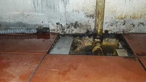 Cardiff Council Rat infested grill