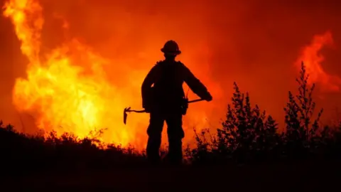 Getty Images Wildfire