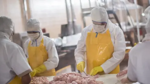 Getty Images Processing chicken - stock shot