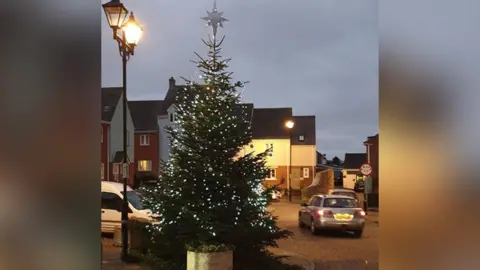 Wyke Regis tree