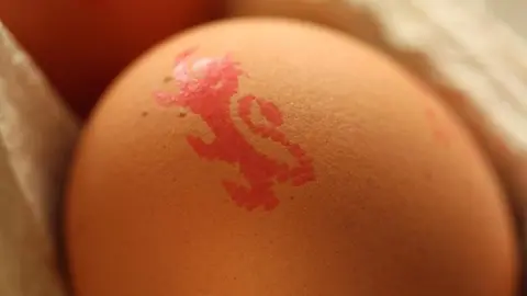 An egg with the British Lion Mark