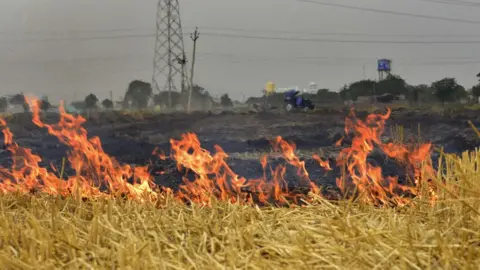 Getty Images Stubble burning outside Ludhiana on the outskirts of Punjab