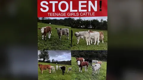 Damien Hasson social media appeal for stolen calves