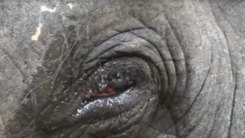 Sangita Iyer Close-up of Lakshmi's injured eye