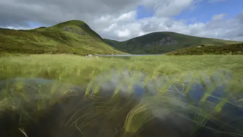 Richard Clarkson Image by Richard Clarkson